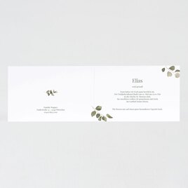 taufeinladung eukalyptus greenery design TA05501-2200050-07 2