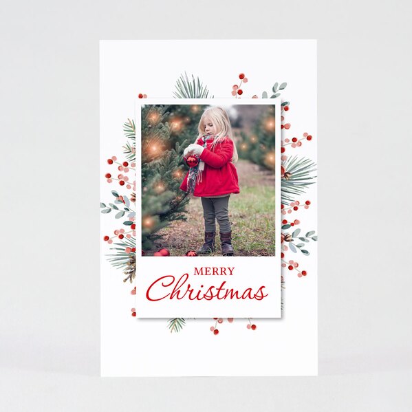 foto weihnachtskarte mit roten beeren TA1188-2000013-07 1