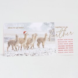 firmen weihnachtskarte alpaka mit weihnachtsmuetze TA1188-2100101-07 1