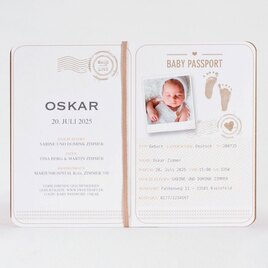 baby passport geburtskarte aus kraftpapier TA589-024-07 2